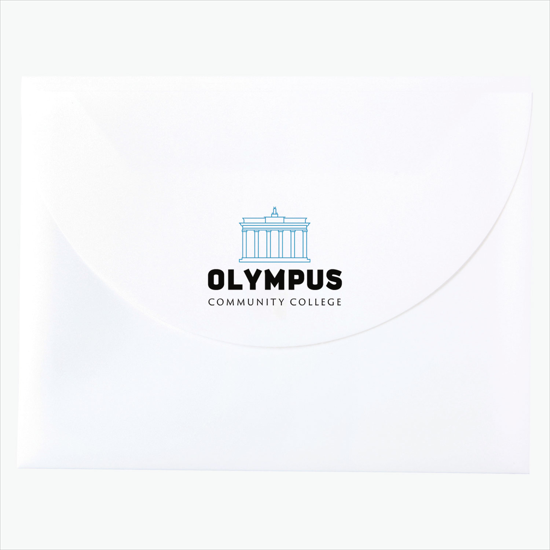 Poly Envelope with Velcro Closure - Multi-Color Imprint