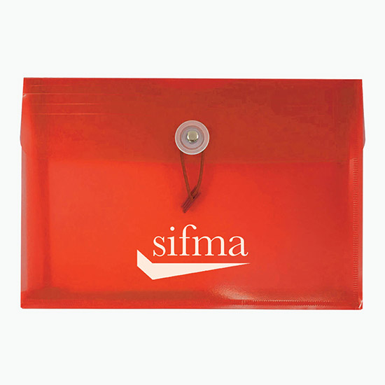 Duralopes Small Poly Envelope - Printed