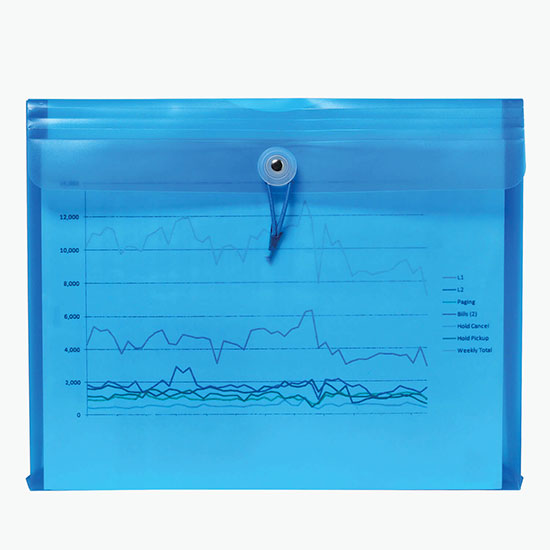 Duralopes Large Poly Envelope - Blank