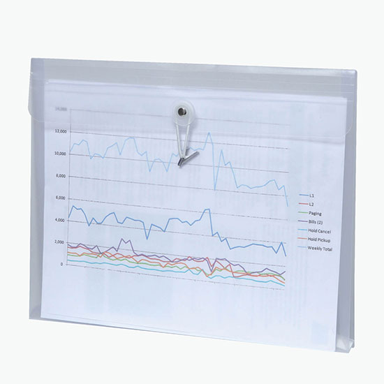 Duralopes Large Poly Envelope - Blank