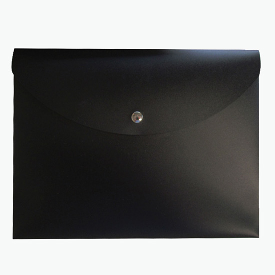 2 Document Case with Magnetic Closure - Blank