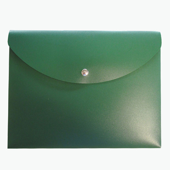 2 Document Case with Magnetic Closure - Blank