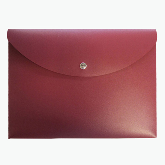 2 Document Case with Magnetic Closure - Blank
