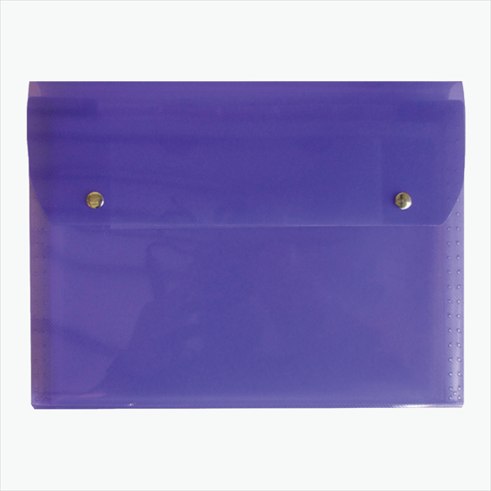 Translucent Snap Carry Case with 6-Pocket File - Blank