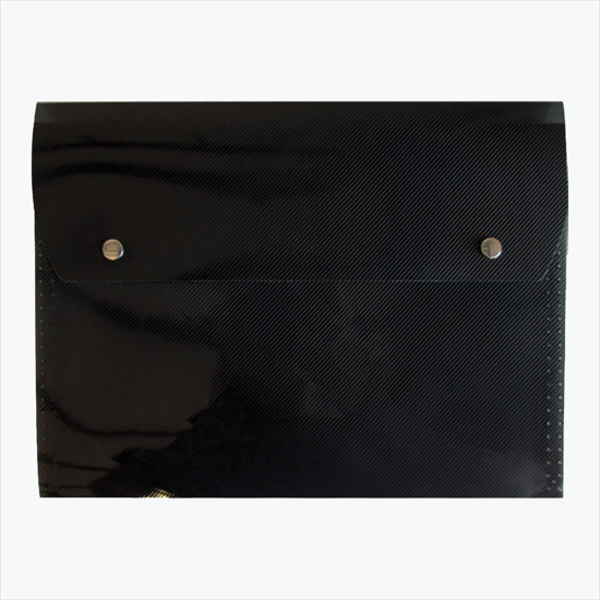 Translucent Snap Carry Case with 6-Pocket File - Blank