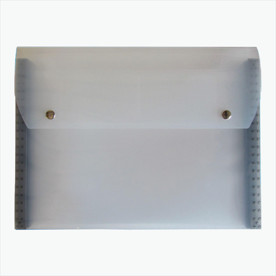 Translucent Snap Carry Case with 6-Pocket File - Blank