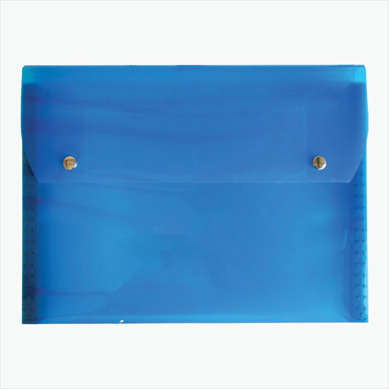 Translucent Snap Carry Case with 6-Pocket File - Blank