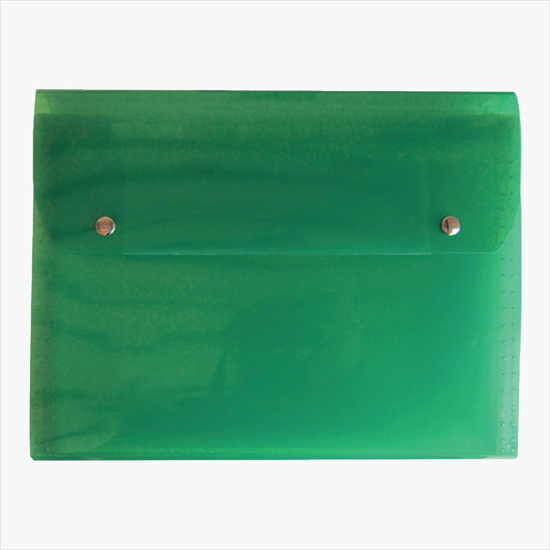 Translucent Snap Carry Case with 6-Pocket File - Blank