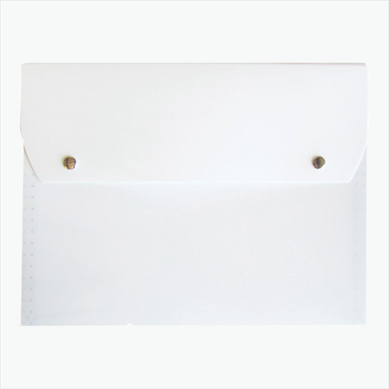 Translucent Snap Carry Case with 6-Pocket File - Blank