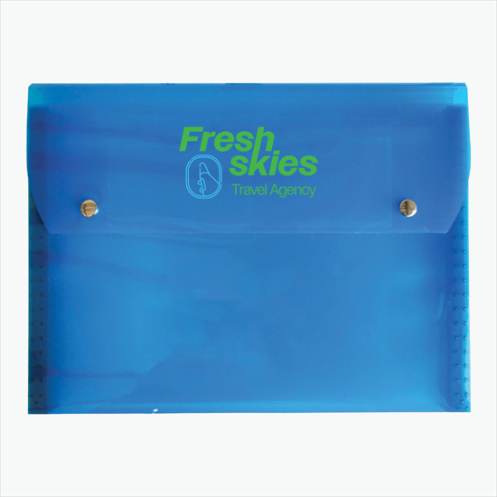 Translucent Snap Carry Case with 6-Pocket File - Multi-Color Imprint