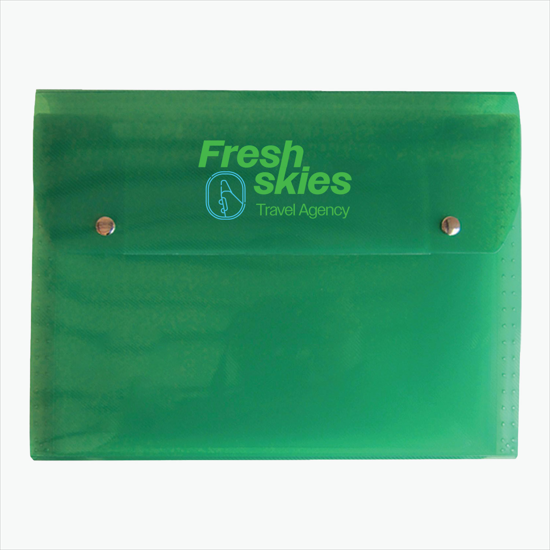 Translucent Snap Carry Case with 6-Pocket File - Multi-Color Imprint