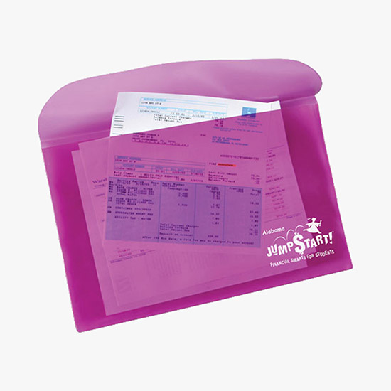 Vinyl Portfolio - Translucent - Printed