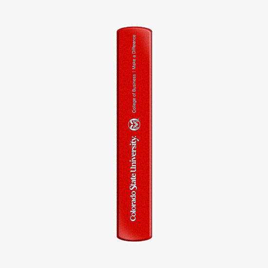 Reflective Slap Band - Large