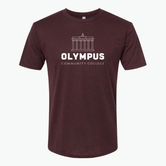 Next Level Men's Tri-Blend Crew T-Shirt - Colors