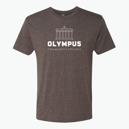 Next Level Men's Tri-Blend Crew T-Shirt - Colors
