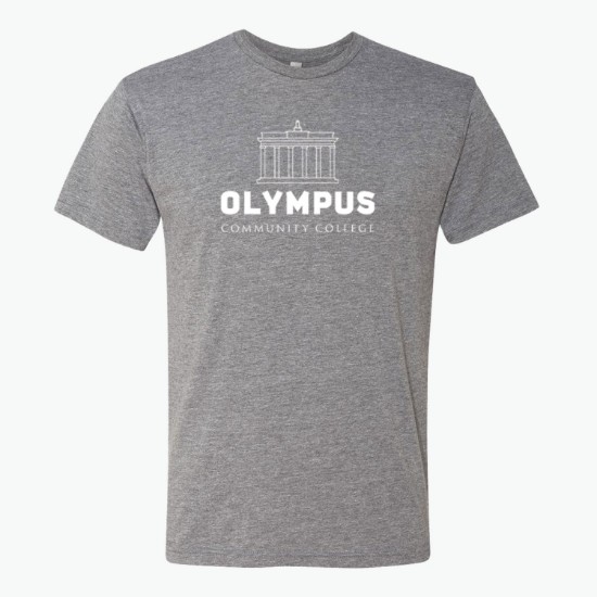 Next Level Men's Tri-Blend Crew T-Shirt - Colors