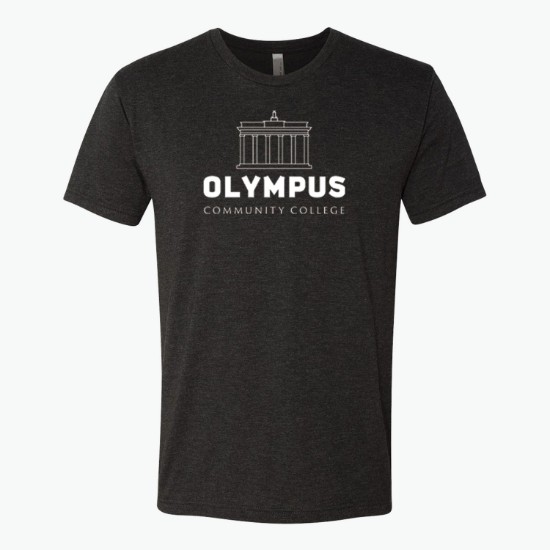 Next Level Men's Tri-Blend Crew T-Shirt - Colors