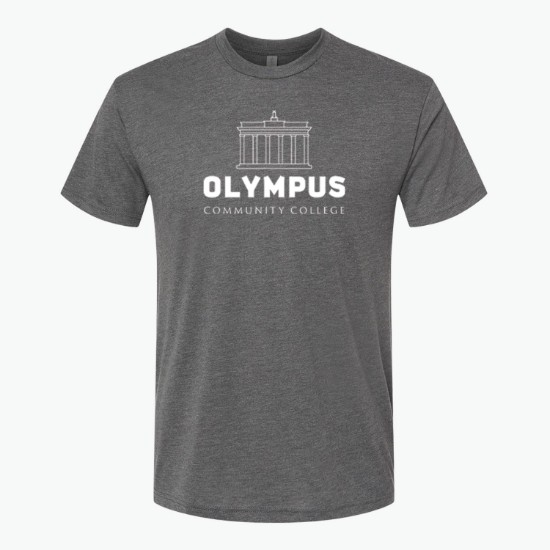 Next Level Men's Tri-Blend Crew T-Shirt - Colors