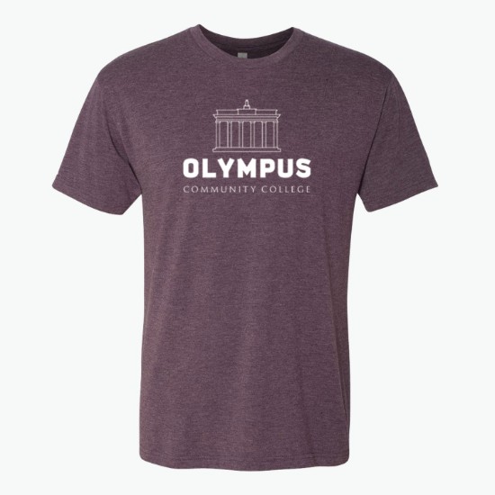 Next Level Men's Tri-Blend Crew T-Shirt - Colors