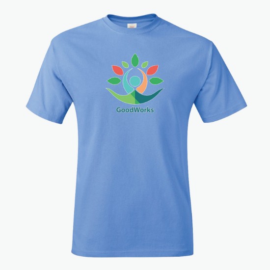 Full Color Hanes Authentic T-Shirt - Colors