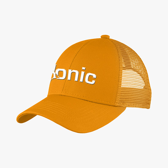 Adjustable Mesh Back Cap