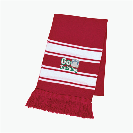 Striped Scarf w/Fringe