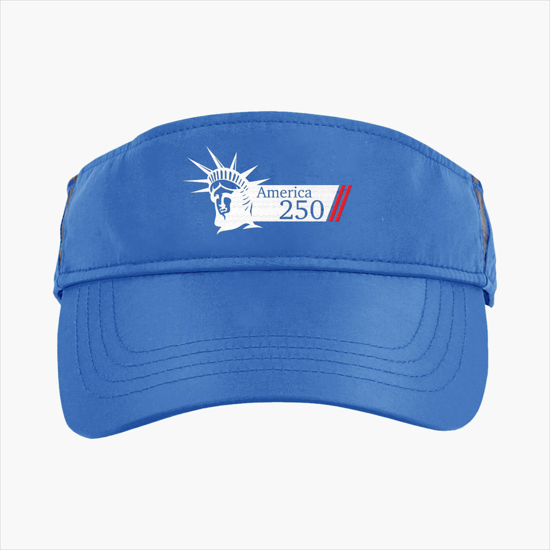 Drive Performance Visor