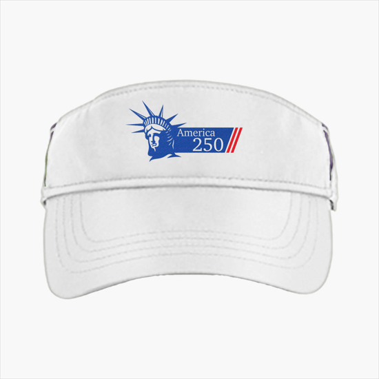Drive Performance Visor