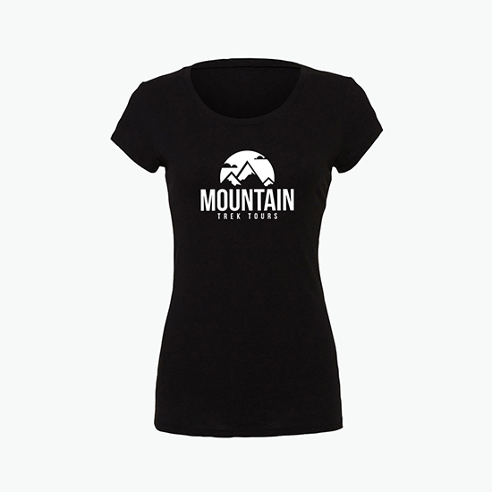 Bella Women's Favorite Jersey T-Shirt - Colors