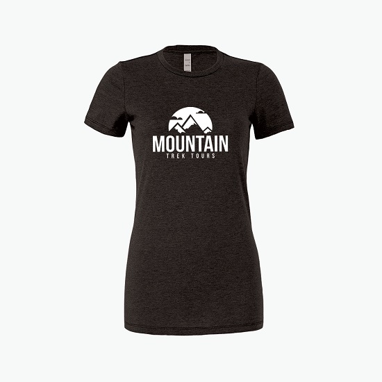 Bella Women's Favorite Jersey T-Shirt - Colors