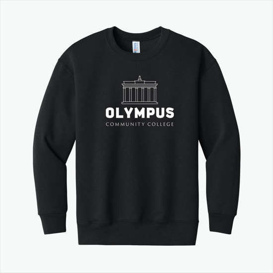 Jerzees® Youth Sweatshirt - Darks - Silkscreened