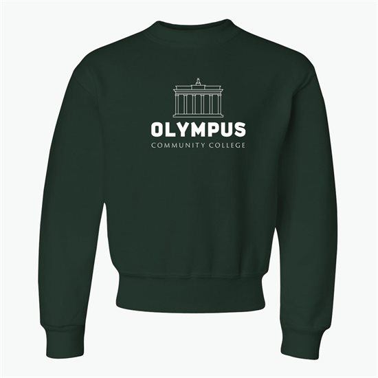 Jerzees® Youth Sweatshirt - Darks - Silkscreened