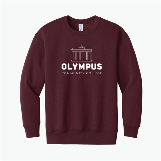 Jerzees® Youth Sweatshirt - Darks - Silkscreened