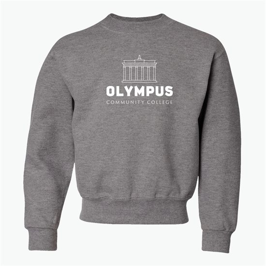 Jerzees® Youth Sweatshirt - Darks - Silkscreened