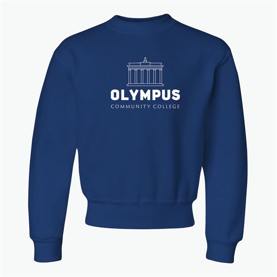 Jerzees® Youth Sweatshirt - Darks - Silkscreened