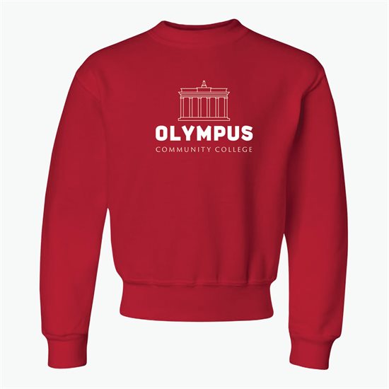 Jerzees® Youth Sweatshirt - Darks - Silkscreened