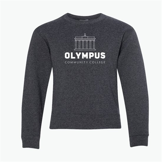 Jerzees® Youth Sweatshirt - Darks - Silkscreened