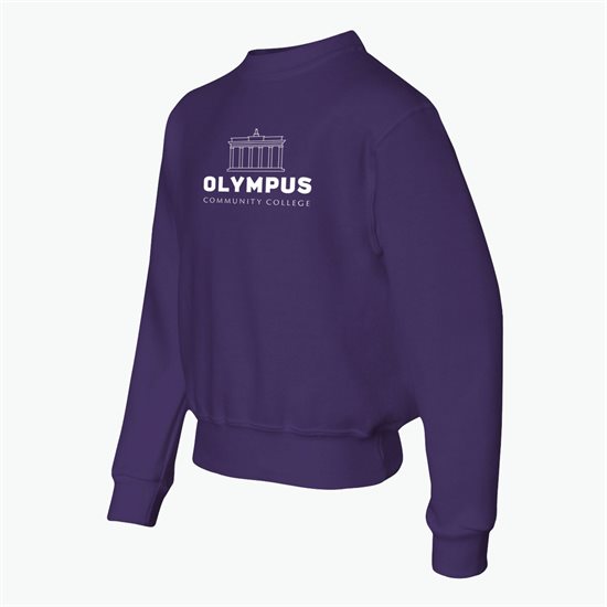 Jerzees® Youth Sweatshirt - Darks - Silkscreened