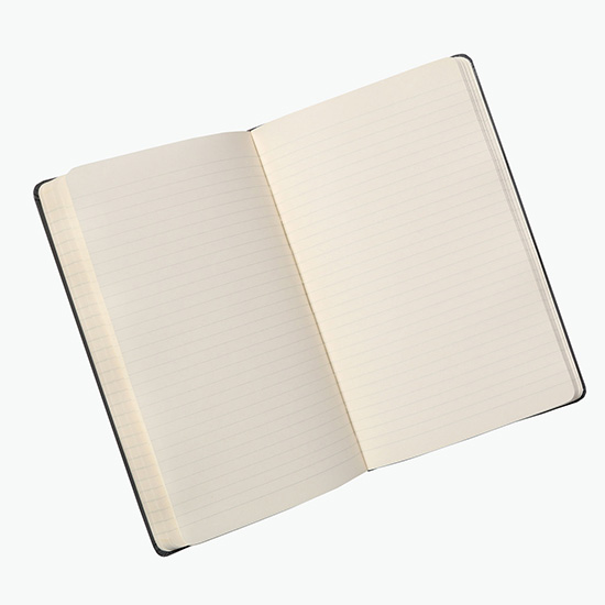 Moleskine® Hard Cover Large Notebook - Ruled - Full Color