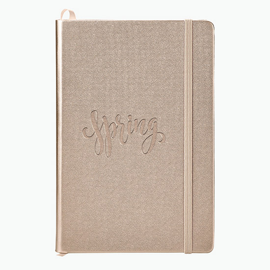 NeoSkin® Satin Metallic Hard Cover Journal