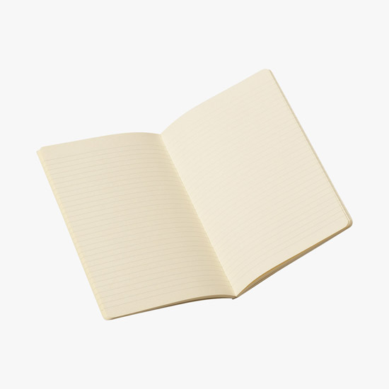 Moleskine® Volant Large Journal - Ruled