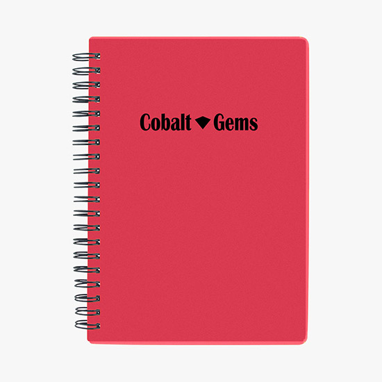 Pocket Buddy Notebook
