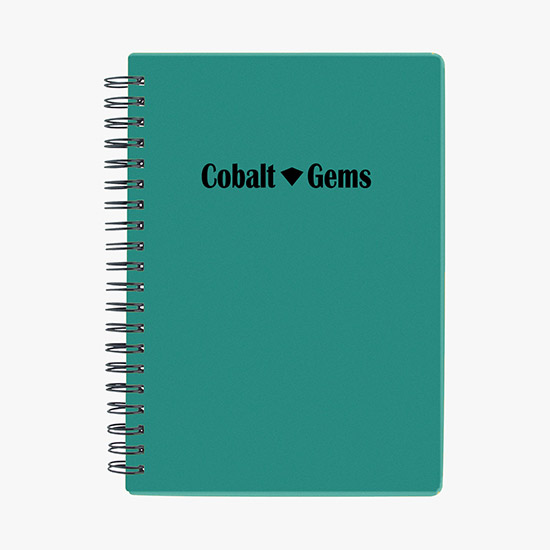 Pocket Buddy Notebook