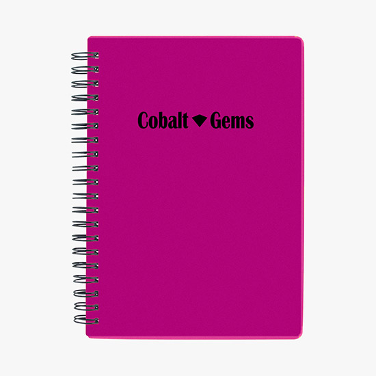 Pocket Buddy Notebook