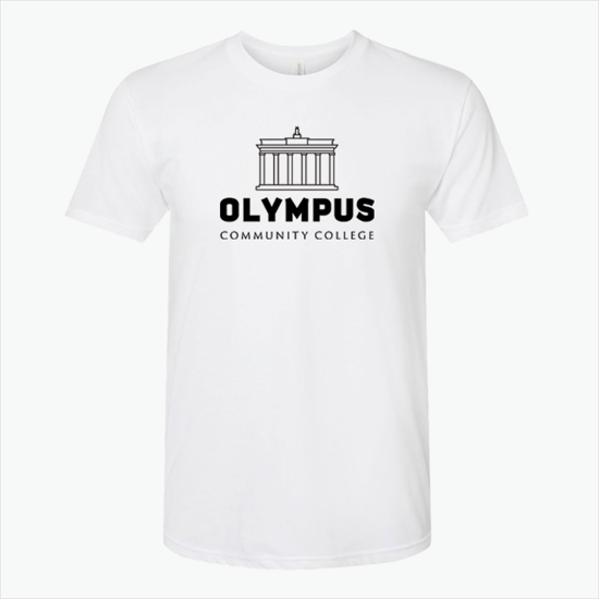 Next Level Men's Tri-Blend Crew T-Shirt - Heather White