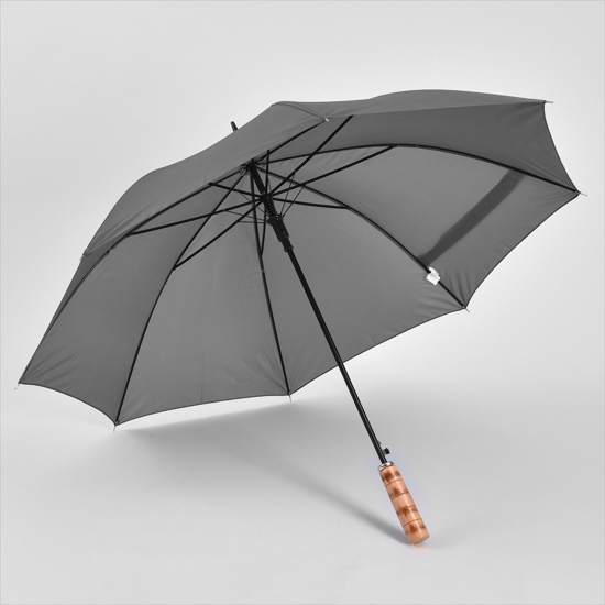 Sport/Street Umbrella