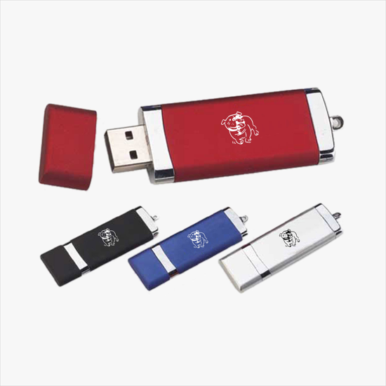 Safe Traveler Flash Drive - 2GB