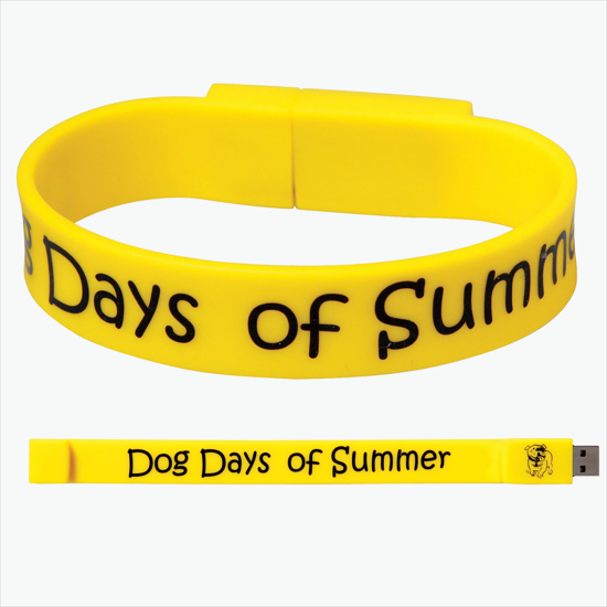 Flash Drive Wristband w/2GB