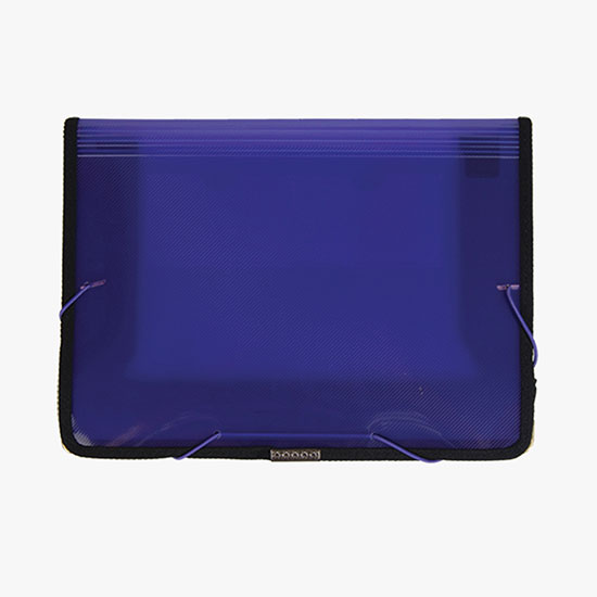 Translucent Organizing Pouch - Blank