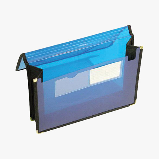 Translucent Organizing Pouch - Blank